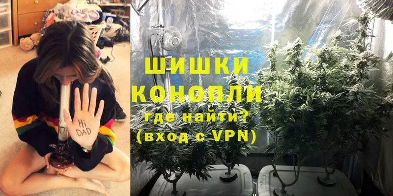 закладка  Зуевка  Бошки Шишки SATIVA & INDICA 